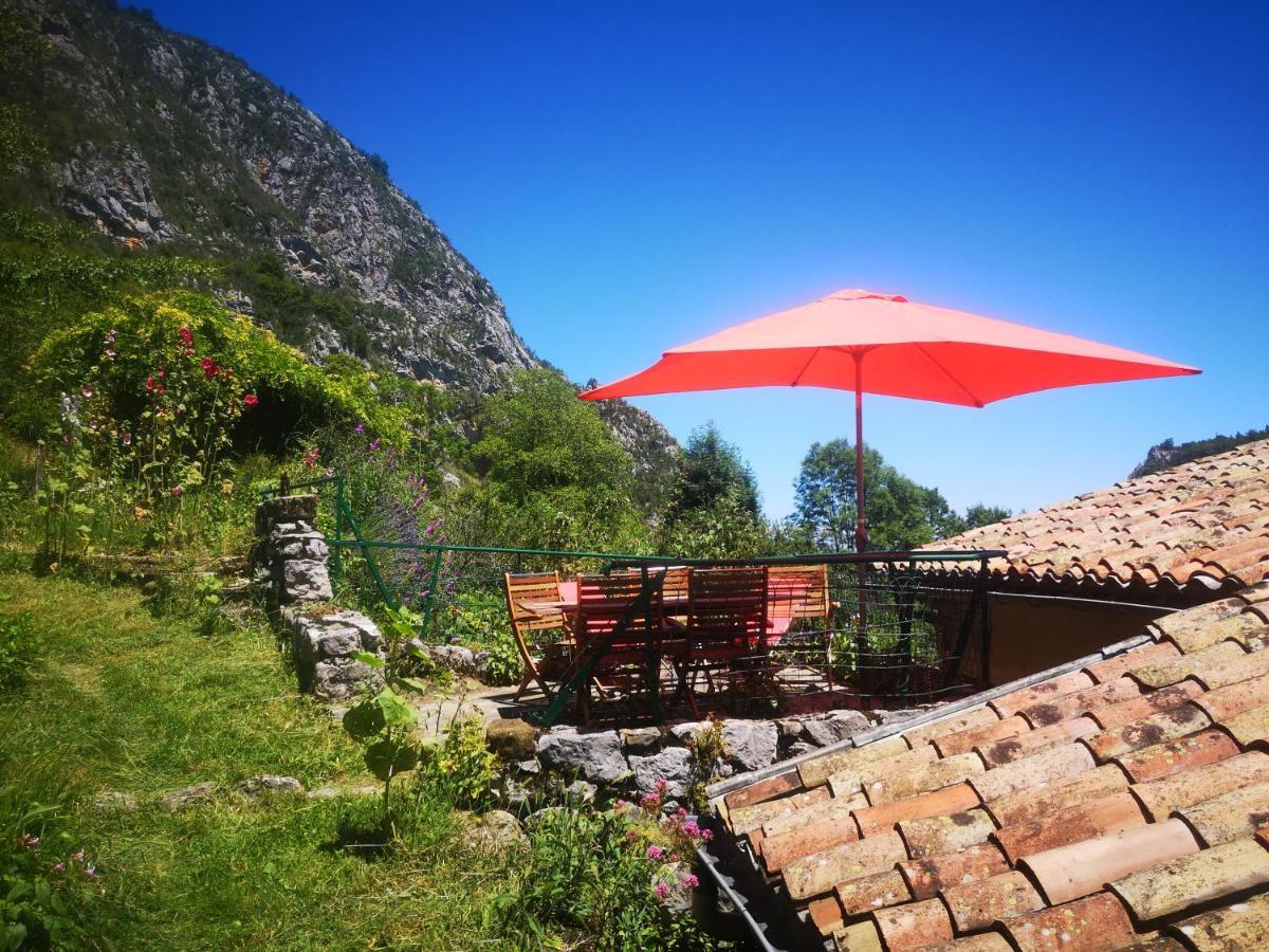 La Maison Sous Le Chateau Montségur Екстериор снимка